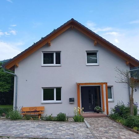 Fewo Am Neckarsteig Mit Anbindung An Heidelberg Некарщайнах Екстериор снимка