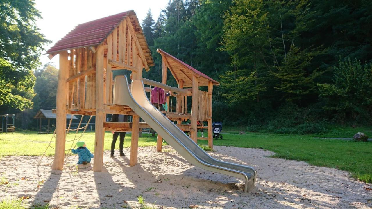 Fewo Am Neckarsteig Mit Anbindung An Heidelberg Некарщайнах Екстериор снимка