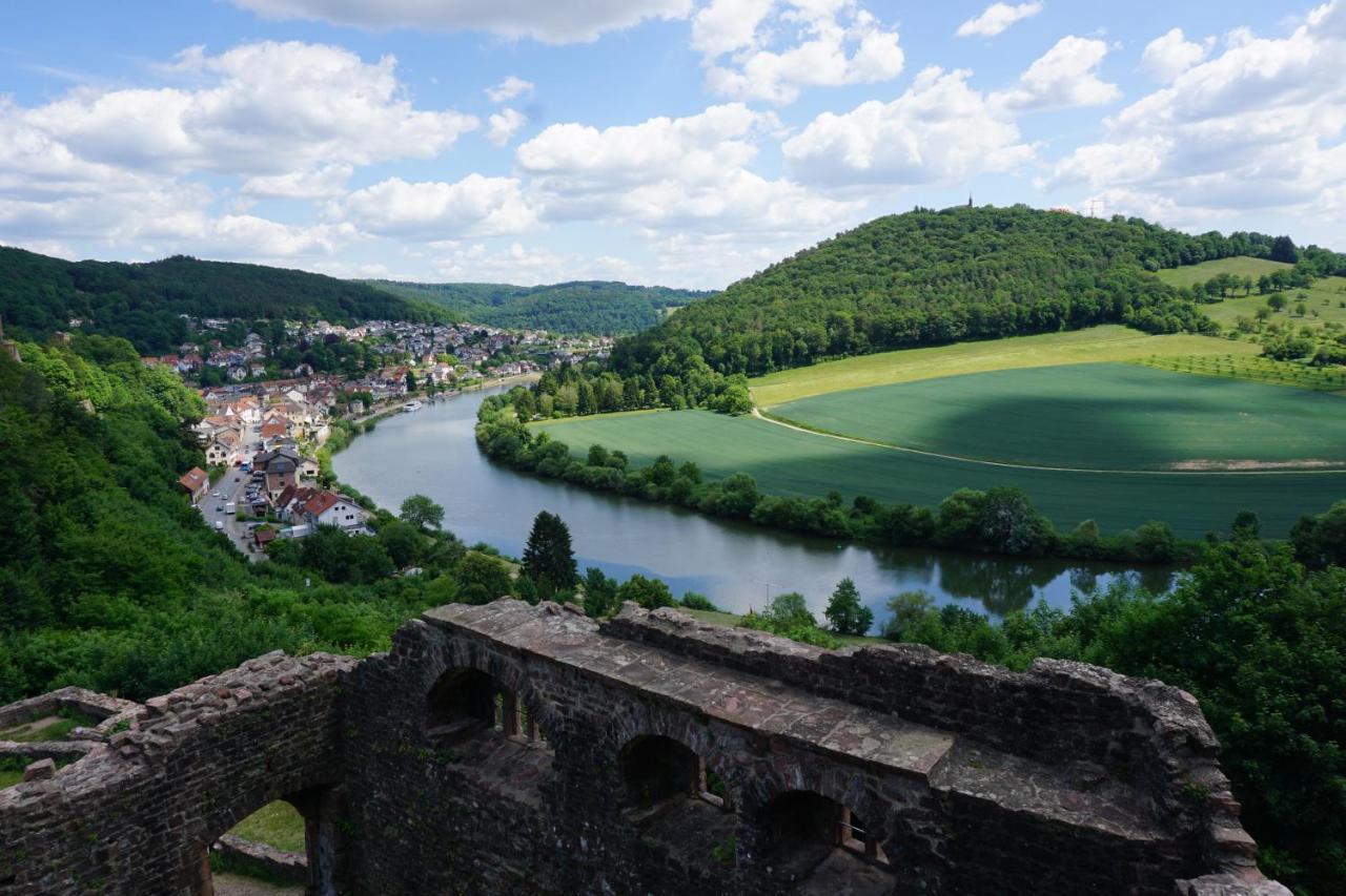 Fewo Am Neckarsteig Mit Anbindung An Heidelberg Некарщайнах Екстериор снимка