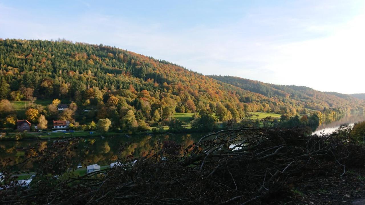 Fewo Am Neckarsteig Mit Anbindung An Heidelberg Некарщайнах Екстериор снимка