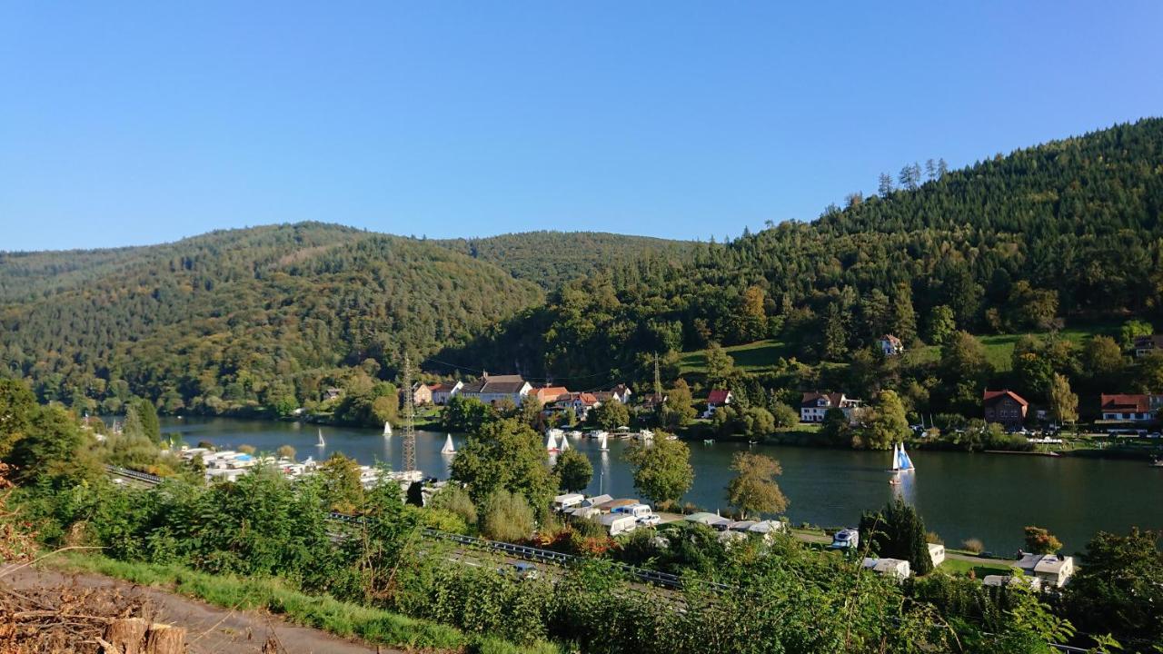 Fewo Am Neckarsteig Mit Anbindung An Heidelberg Некарщайнах Екстериор снимка