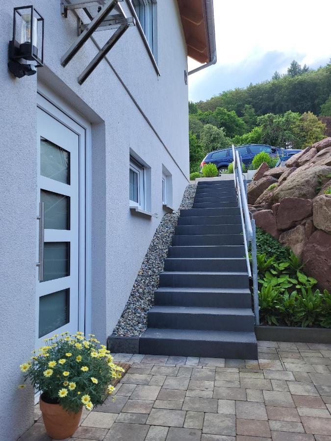 Fewo Am Neckarsteig Mit Anbindung An Heidelberg Некарщайнах Екстериор снимка